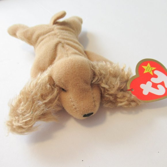 Spunky the catnip teenie Cocker Spanel - Picture 1 of 5